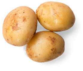 pdp potato