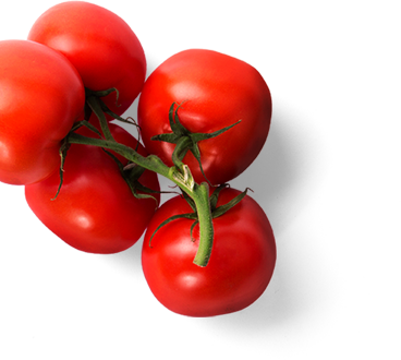 user-tomato-pic